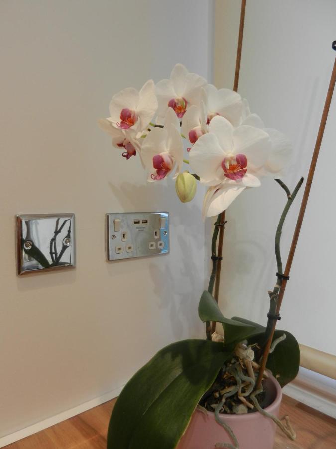 Boynton Hill B&B 诺丁汉 外观 照片